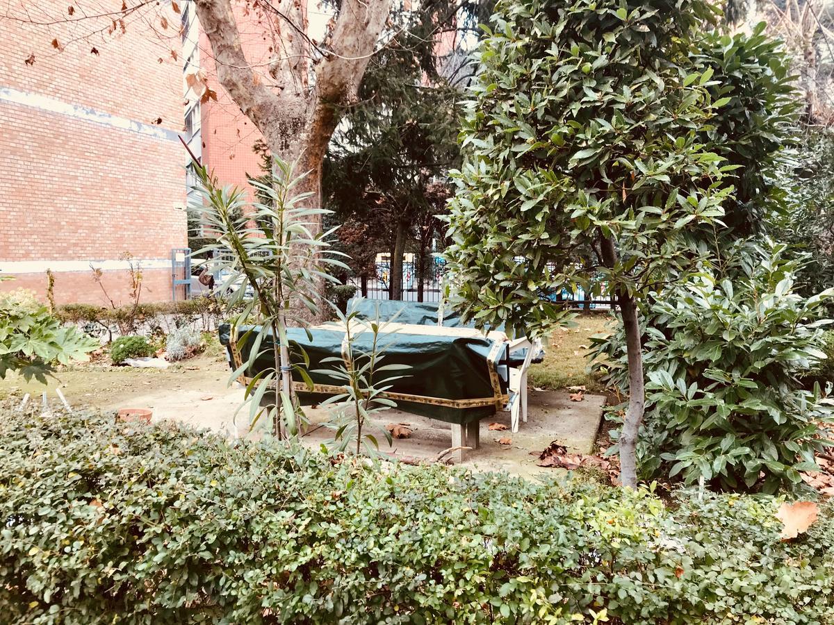 Tl Appartamenti Arance E Rose Bologna Bagian luar foto